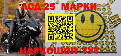 гидропоника Будённовск