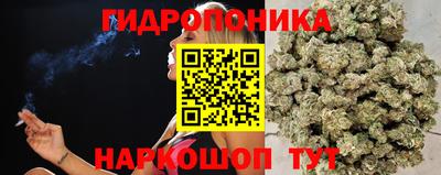 гидропоника Будённовск