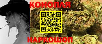 гидропоника Будённовск
