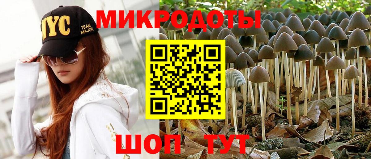Галлюциногенные грибы MAGIC MUSHROOMS Саров