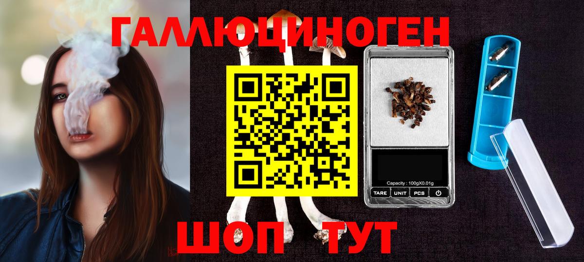 Саров  Псилоцибиновые грибы мицелий  Вход с VPN 